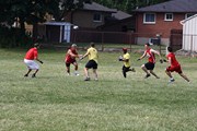 OTFL Gallery Image